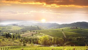 An image of the the hills in Tuscany, one of the most famous wine regions in the world. 