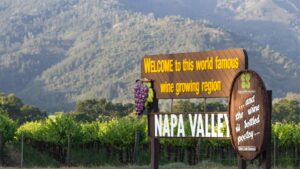 A photo of the sign at the entrance to Nappa Valley, one of the most famous wine regions, with wine grapes growing in the background. 