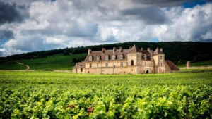 A photo of a chateau in Burgundy, one of the great wine regions of the world. 